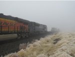 Aussie now on Idaho rails